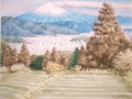 F6 富士山･満観峰