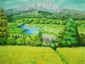 F6 飯山 菜の花公園