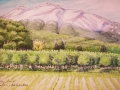 F4　青森　岩木山