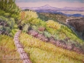 F4　滋賀県　赤坂山2