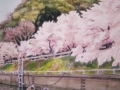 F6　犬山市犬山城