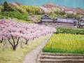 F6 桃の里犬山市野田