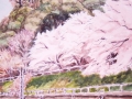 Ｆ1　桜の犬山城