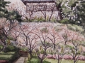 F4 福井　丸岡城